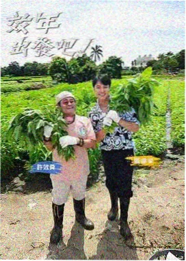 奔跑吧 新视觉影院综艺